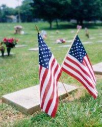 American flags in cemetery